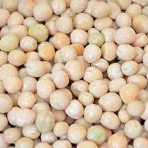 MATAR 850GM