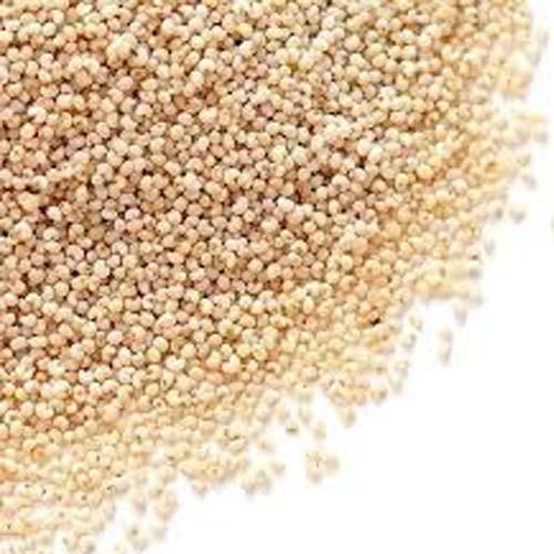 POSTO (POPPY SEEDS) 10GM