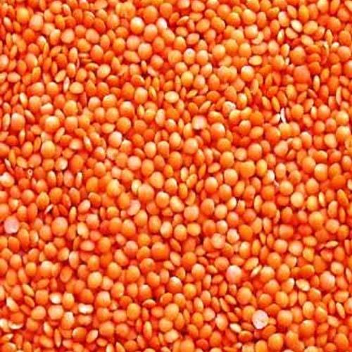 MASOOR DAL (LENTILS PREMIUM) 310GM