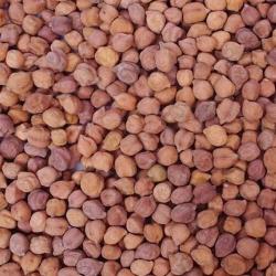 CHANA WHOLE 599GM