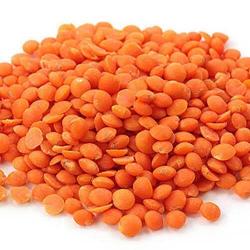 MASUR DAL 658GM