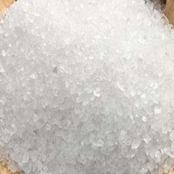 SUGAR 919GM