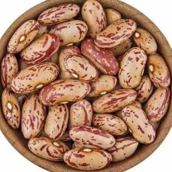 RAJMA WHITE 365GM