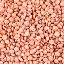 MASOOR PREMIUM (TOOR DAL) 310GM