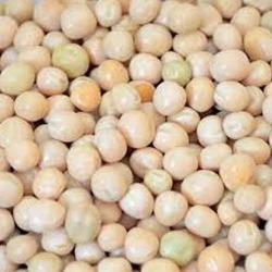 MATAR 850GM