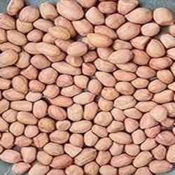 MUNGFALI WHITE (GROUNDNUT) 359GM