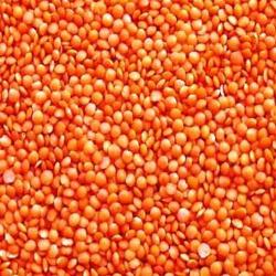 MASOOR DAL (LENTILS PREMIUM) 310GM